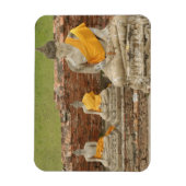 Thailand, Ayutthaya. Statuut van de zittende boedd Magneet (Verticaal)