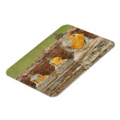 Thailand, Ayutthaya. Statuut van de zittende boedd Magneet (Linkerzijde)