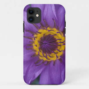 Thailand, Bangkok, Paarse en gele lotus iPhone 11 Hoesje