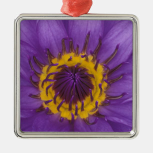 Thailand, Bangkok, Paarse en gele lotus Metalen Ornament