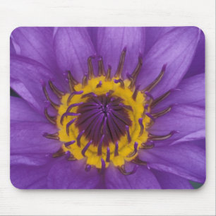 Thailand, Bangkok, Paarse en gele lotus Muismat
