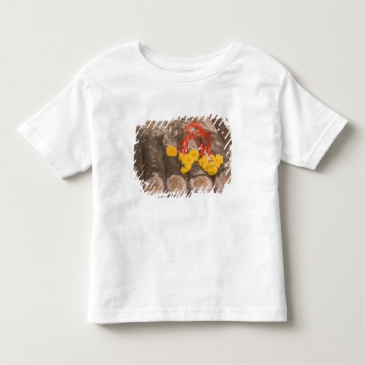 Thailand, boeddha's voeten en Marigold-aanbod Kinder Shirts (Voorkant)