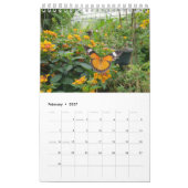 Thailand Butterflies Kalender (Feb 2027)