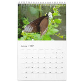 Thailand Butterflies Kalender (Jan 2027)
