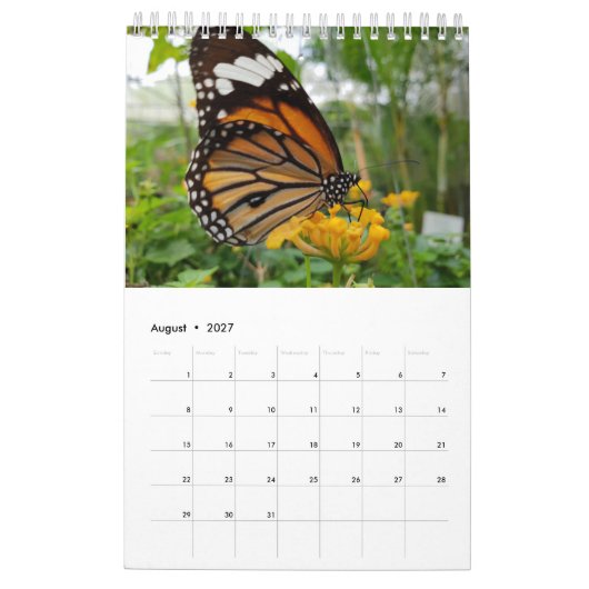 Thailand Butterflies Kalender (Aug 2027)