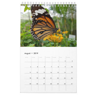 Thailand Butterflies Kalender