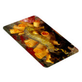 Thailand, close-up Seahorse Magneet (Rechterzijde)