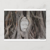 Thailand Hoofd Boeddha omringd door bomen Briefkaart (Achterkant)