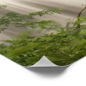 Thailand, Huai Mae Khamin Waterfall Poster (Hoek)