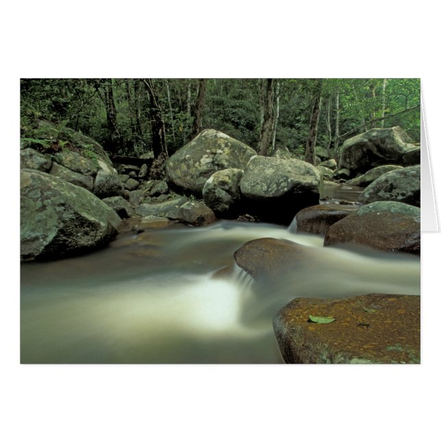 Thailand, Kohsamui eiland, Regenwoud landschap. (Voorkant Horizontaal)