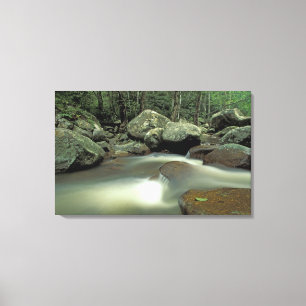 Thailand, Kohsamui eiland, Regenwoud landschap. Canvas Afdruk