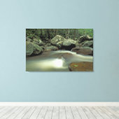 Thailand, Kohsamui eiland, Regenwoud landschap. Canvas Afdruk (Insitu (Houten vloer))