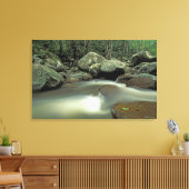 Thailand, Kohsamui eiland, Regenwoud landschap. Canvas Afdruk (Insitu (Woonkamer))