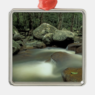 Thailand, Kohsamui eiland, regenwoud landschap. Metalen Ornament