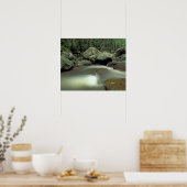 Thailand, Kohsamui eiland, Regenwoud landschap. Poster (Keuken)