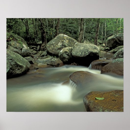 Thailand, Kohsamui eiland, Regenwoud landschap. Poster (Voorkant)