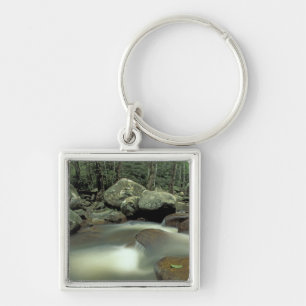 Thailand, Kohsamui eiland, Regenwoud landschap. Sleutelhanger