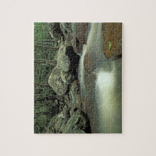 Thailand, Kohsamui-eiland, regenwoudlandschap. Legpuzzel (Verticaal)