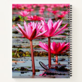 Thailand - Kumphawapi Lotus Lake Notitieboek (Achterkant)