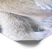 Thailand Monkey Mother and Child Hug Poster (Hoek)