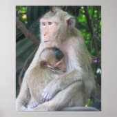 Thailand Monkey Mother and Child Hug Poster (Voorkant)