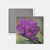 Thailand, Noord-Thailand, bij Chang Mai, Mae Magneet (Voorkant / Achterkant)