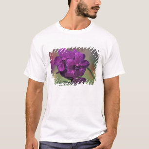 Thailand, Noord-Thailand, nabij Chang Mai, Mae T-shirt