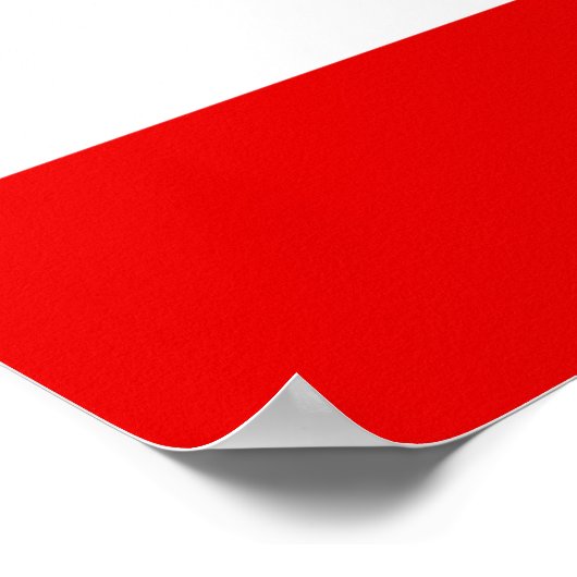 Thailand vlag poster (Hoek)