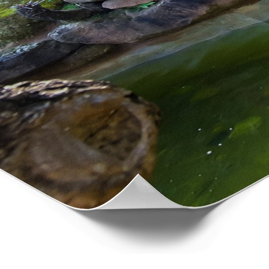 Thailand Waterval Poster (Hoek)