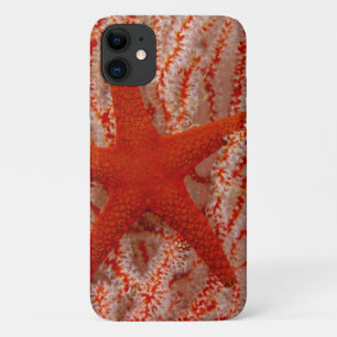 Thailand, Zee Star Aka Starfish Case-Mate iPhone Case
