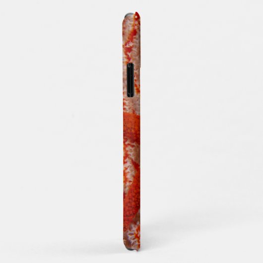 Thailand, Zeester Case-Mate iPhone Case (Achterkant/rechts)