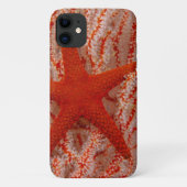 Thailand, Zeester Case-Mate iPhone Case (Achterkant)