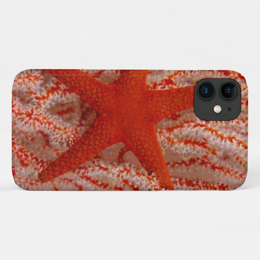 Thailand, Zeester Case-Mate iPhone Case (Achterkant (horizontaal))