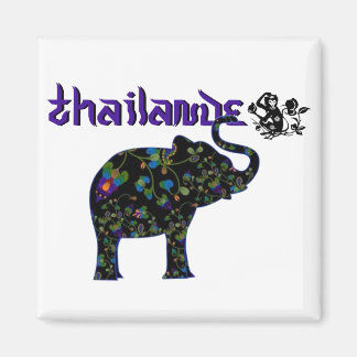 Thais Magnet 2