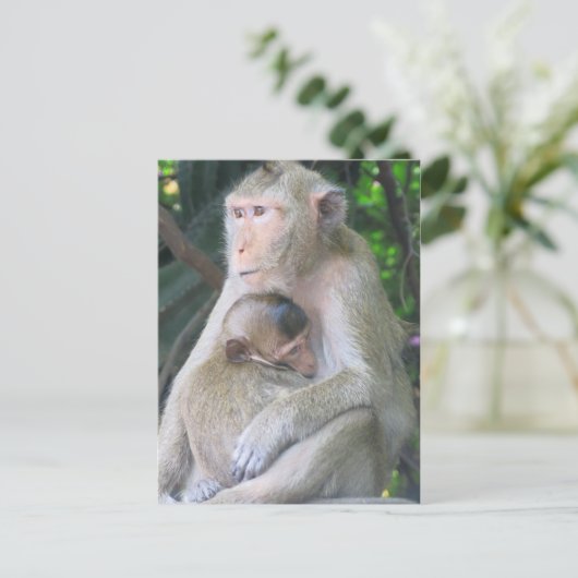Thaise aap moeder en kind Hug Briefkaart (Staand voorkant)