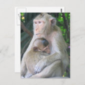 Thaise aap moeder en kind Hug Briefkaart (Voorkant / Achterkant)