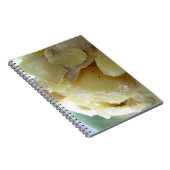 Thaise Gele Curry [แกงกะหรี่] .. Aziatisch straatv Notitieboek (Rechterzijde)