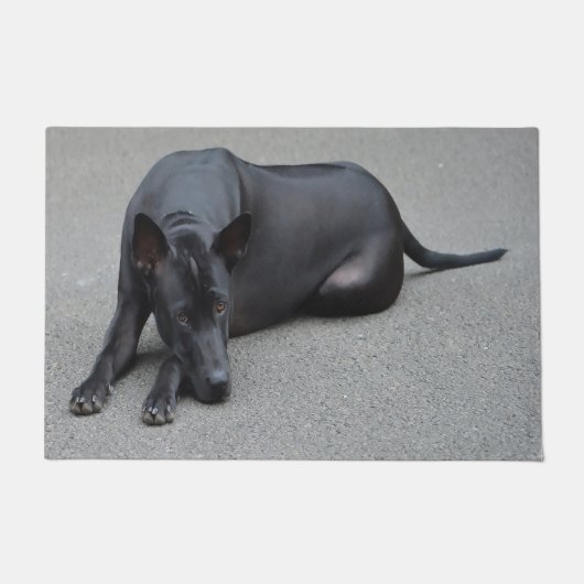 Thaise Ridgebackhond Deurmat (Voorkant)