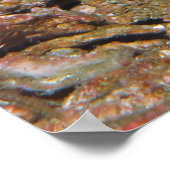 Thaise schorpioenvis Portret Poster (Hoek)