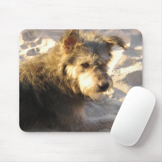 Thaise Strandhond Muismat (Met muis)