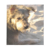 Thaise Strandhond Notitieblok (Voorkant)