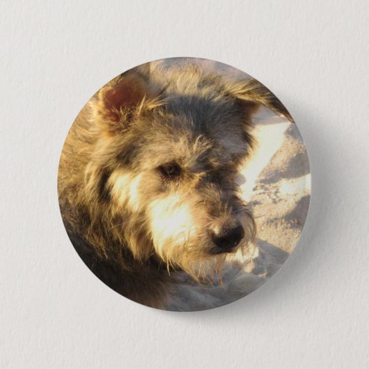 Thaise Strandhond Ronde Button 5,7 Cm (Voorkant)