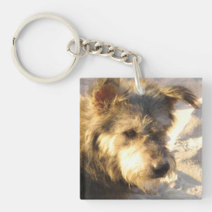Thaise Strandhond Sleutelhanger