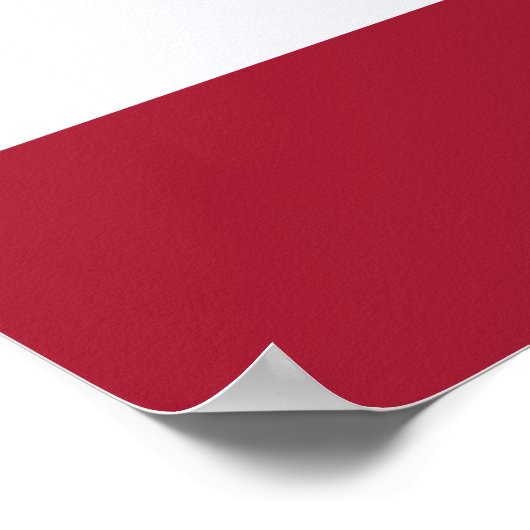 Thaise vlag (Thailand) Poster (Hoek)