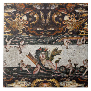 THALASSA ZEE GODIN, SLANGENDRAAK, DOLFIJNEN, VISSE TEGELTJE