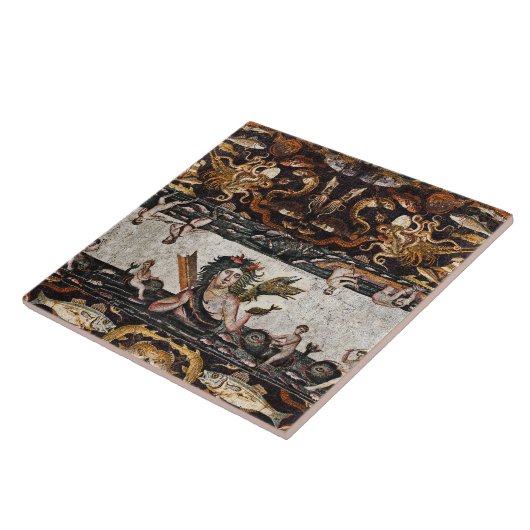 THALASSA ZEE GODIN, SLANGENDRAAK, DOLFIJNEN, VISSE TEGELTJE (Zijkant)