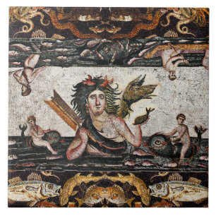 THALASSA ZEE GODIN, SLANGENDRAAK, DOLFIJNEN, VISSE TEGELTJE