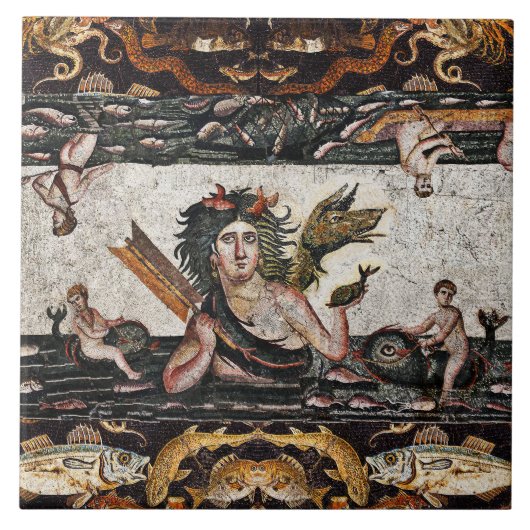 THALASSA ZEE GODIN, SLANGENDRAAK, DOLFIJNEN, VISSE TEGELTJE (Voorkant)