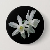 Thalia Narcissus Black en White Daffodil Button (Voorkant)