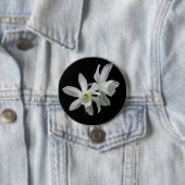 Thalia Narcissus Black en White Daffodil Button (In situ)